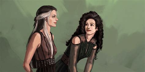 bellatrix black|are bellatrix and narcissa sisters.